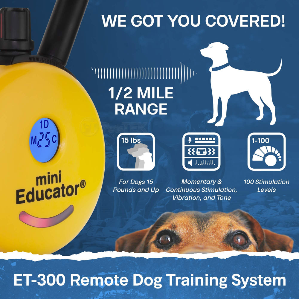 Educator ET-300 remote control closeup with easy-training buttons