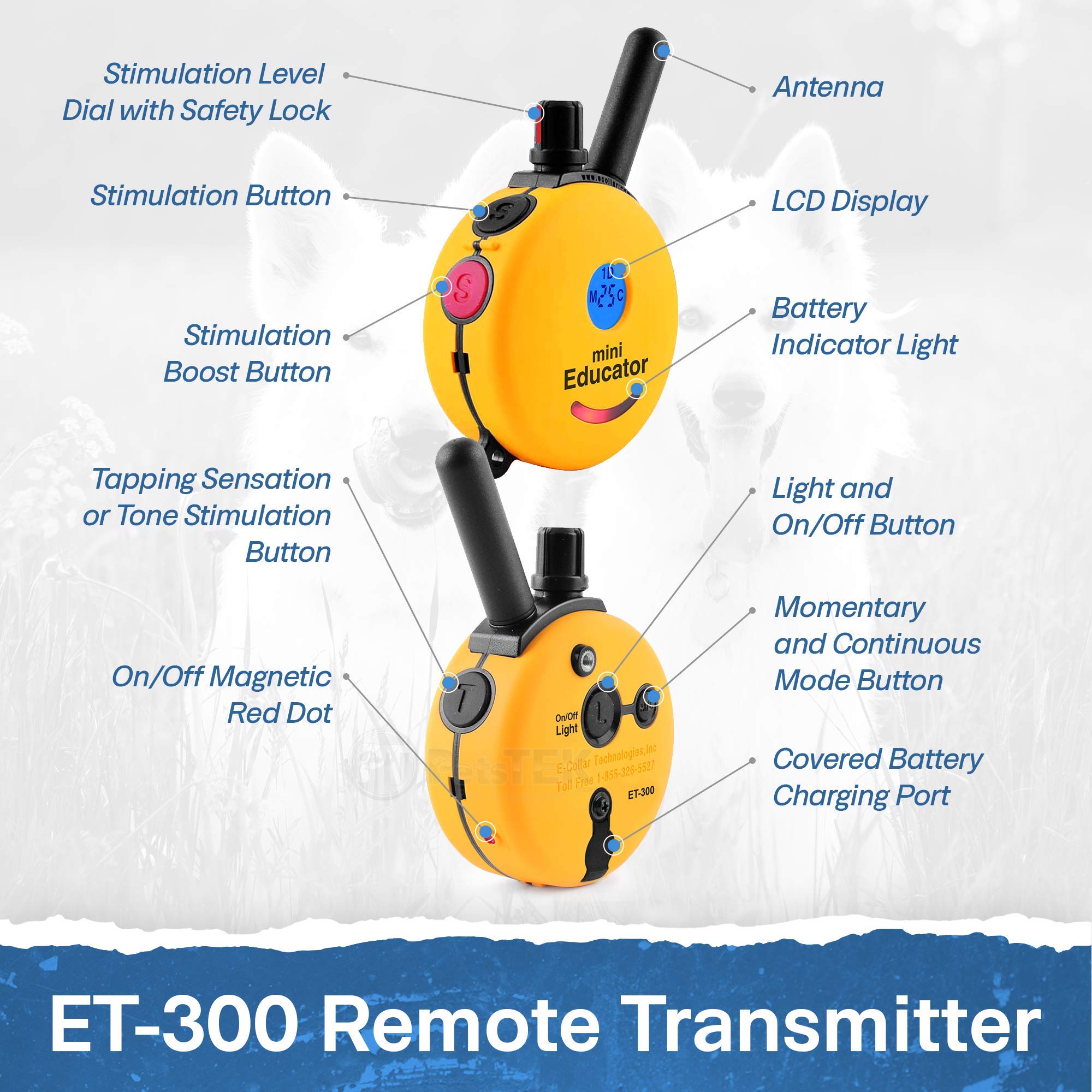 Educator ET-300 100-level blunt-stimulation visual indicator