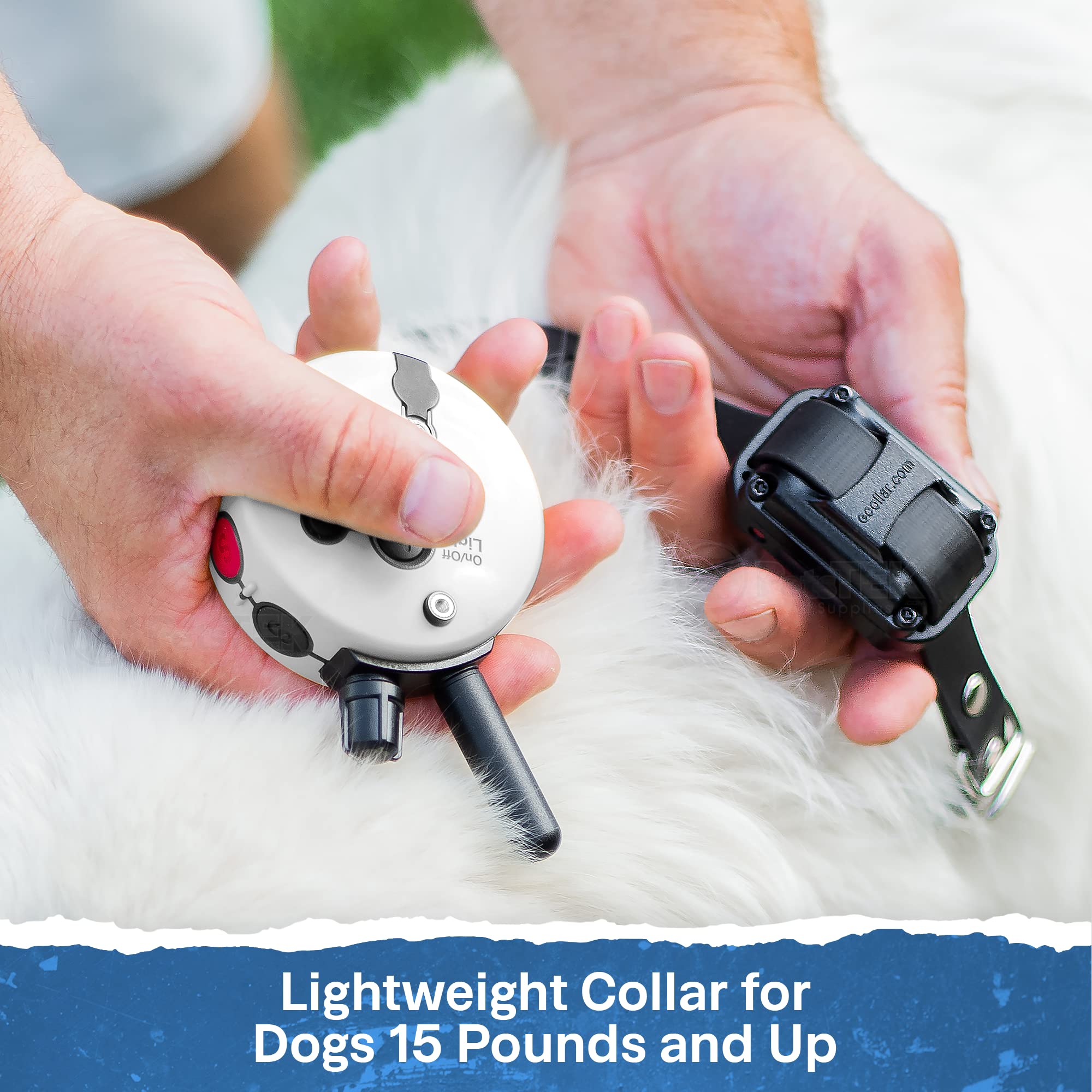 Educator ET-300 Zen Mini E Collar compact, versatile for all dog sizes.