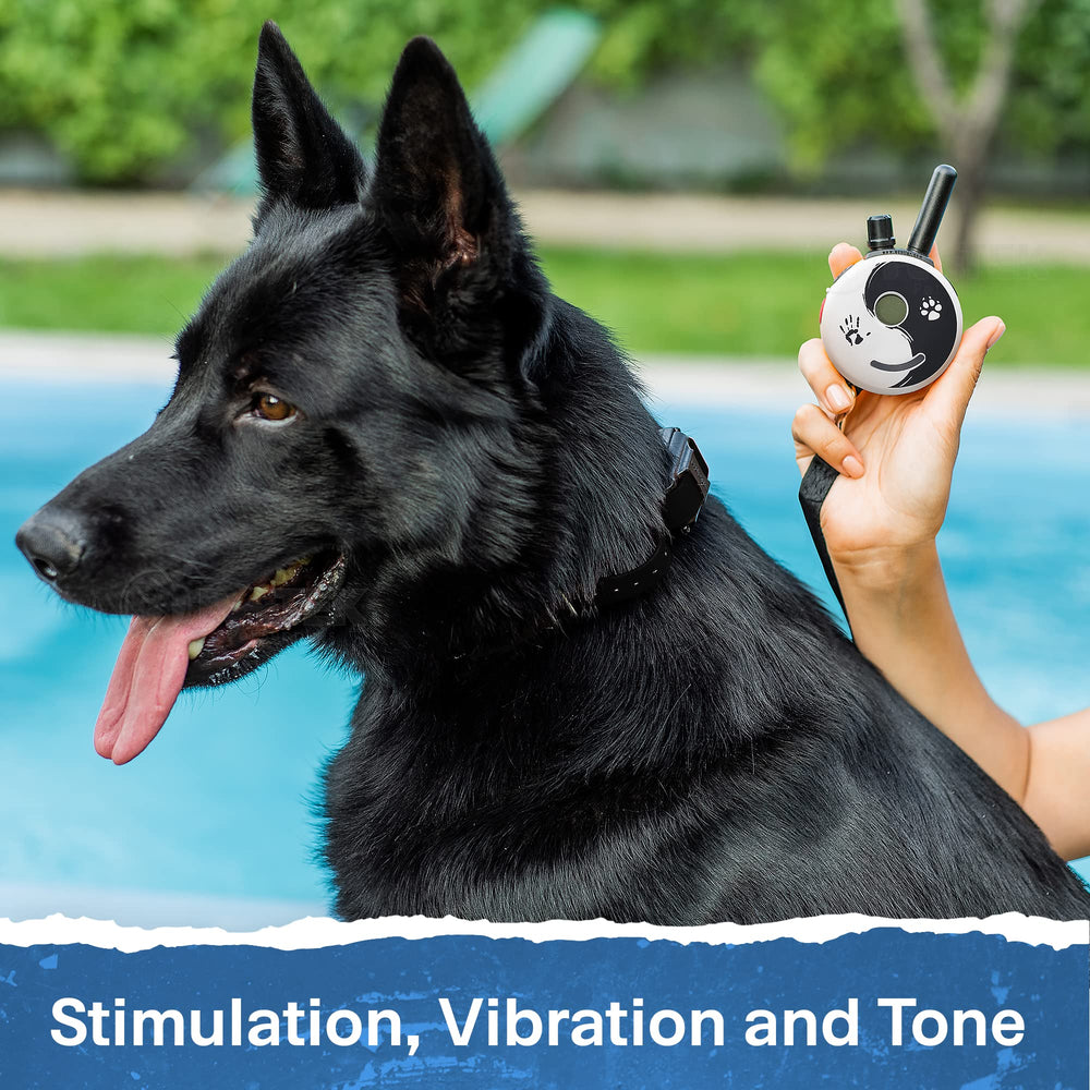 Educator ET-300 Zen Mini E Collar half-mile remote range for larger spaces.