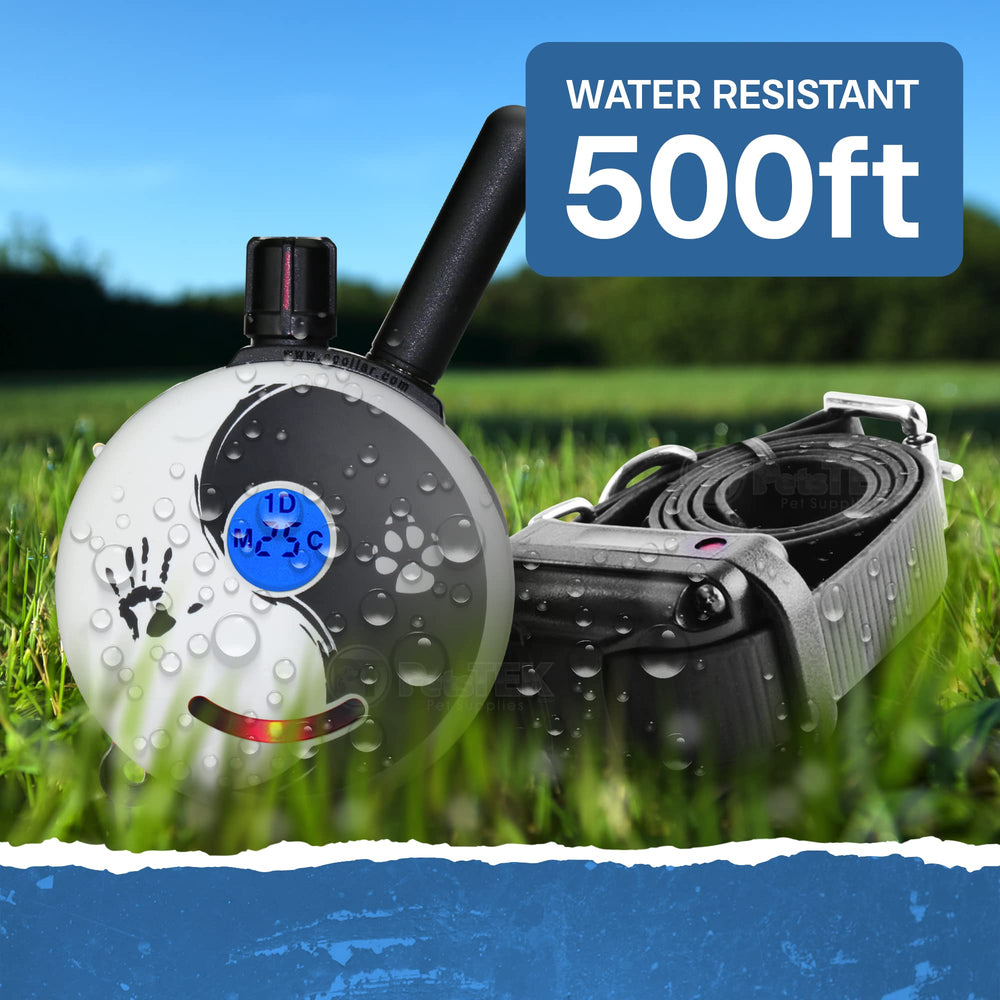 Educator ET-300 Zen Mini E Collar night light helps locate dogs at night.