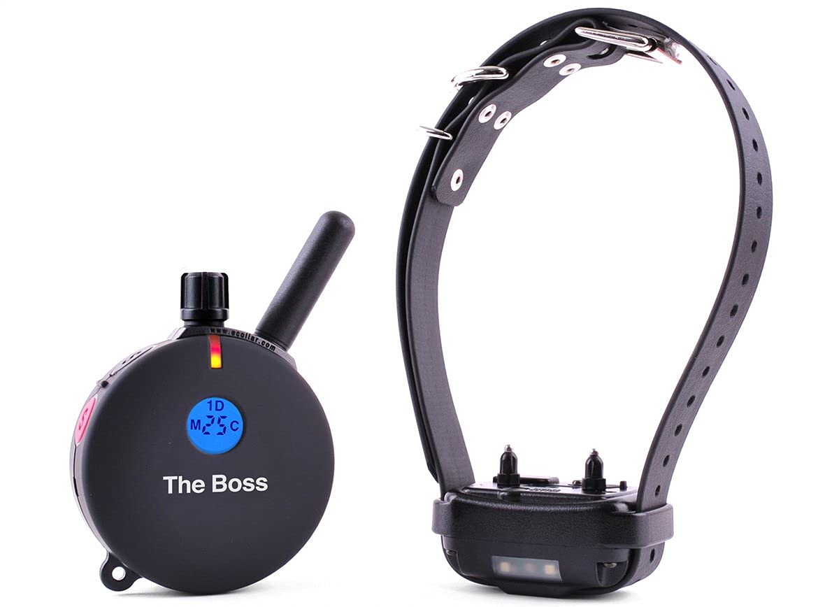 Educator ET-800 LED night-light improves visibility on evening walks and recall drills.
