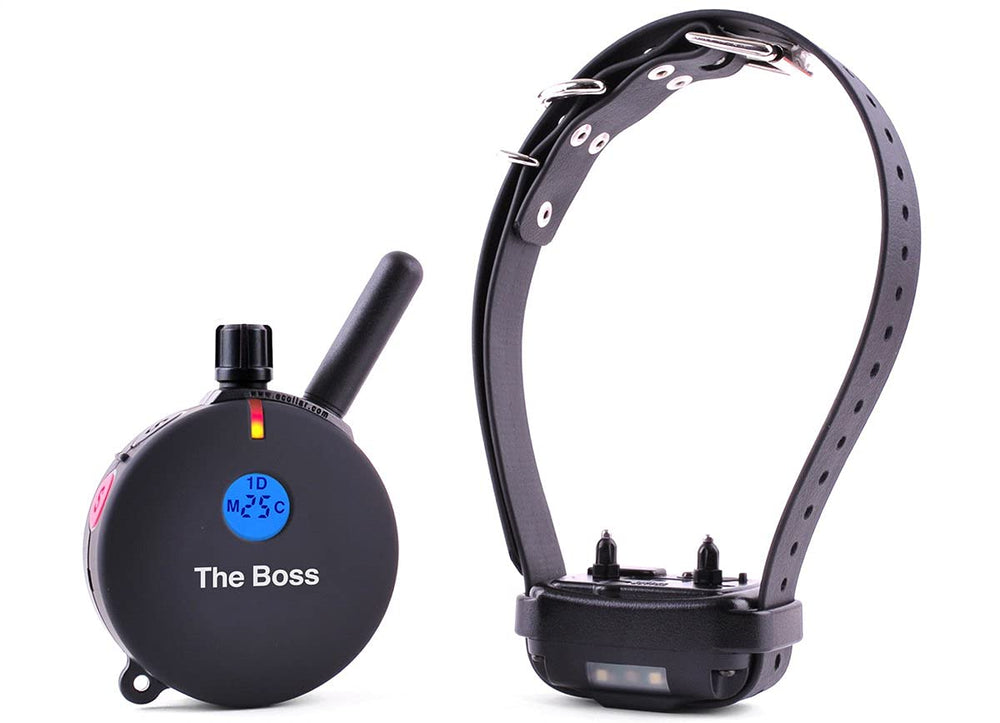 Educator ET-800 LED night-light improves visibility on evening walks and recall drills.