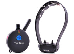 Educator ET-800 LED night-light improves visibility on evening walks and recall drills.
