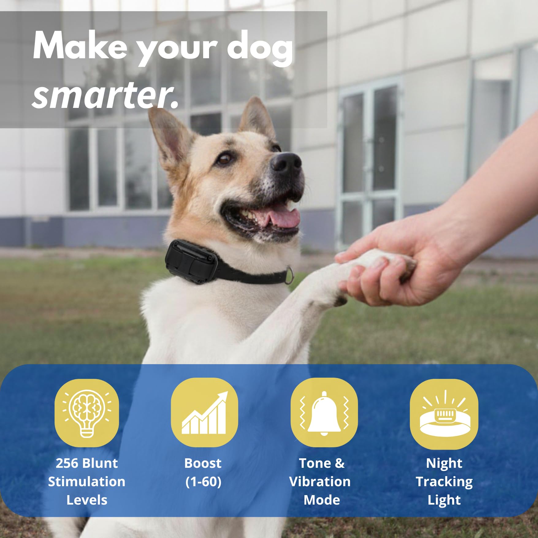 Educator FT-330 collar worn on dog during training sessions.