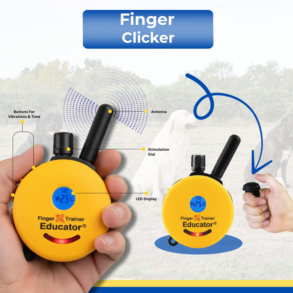 Educator FT-330 dual charger powers remote and collar together.