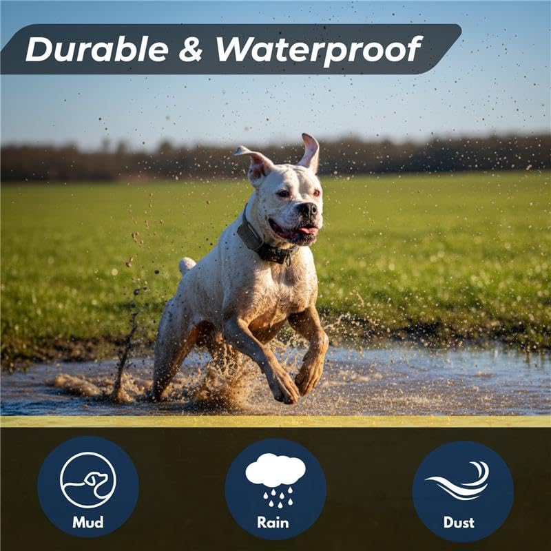 Educator FT-330 waterproof and rugged design for all-weather use.