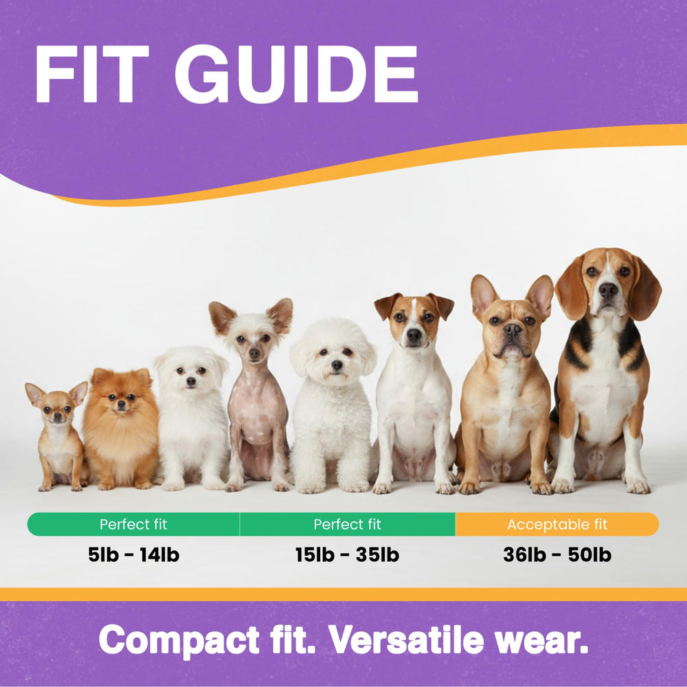 Educator ME-300 collar shown on dog with adjustable comfort fit.