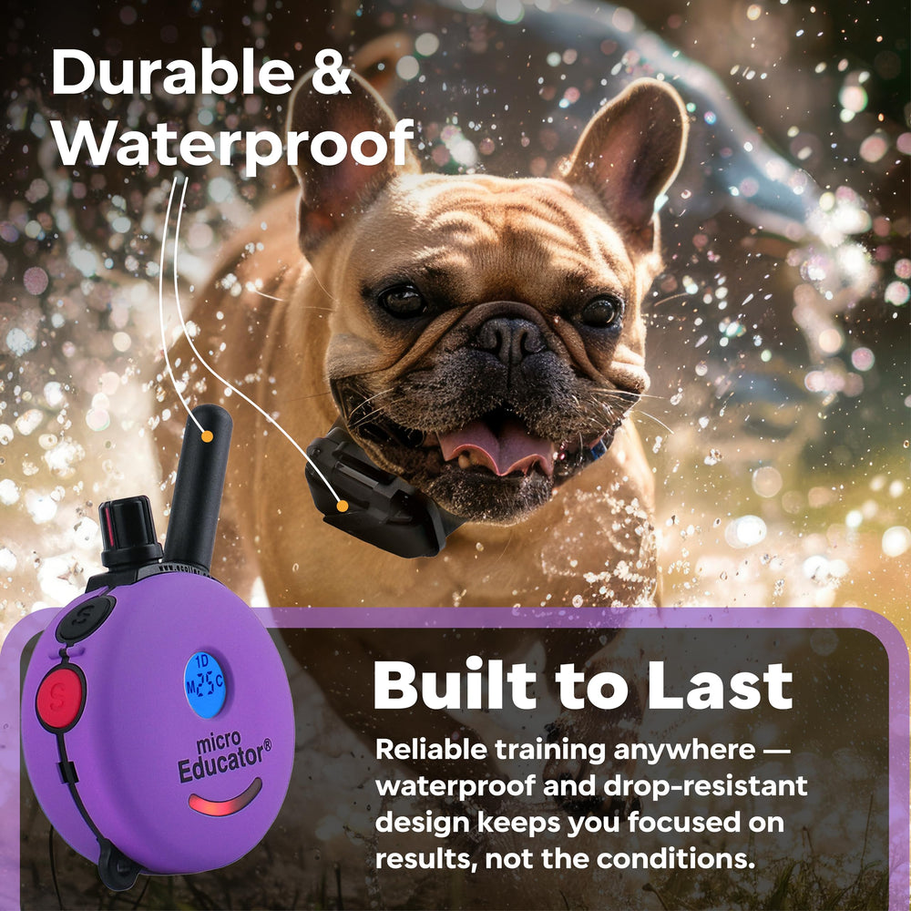 Educator ME-300 night-light aids safe evening walks and low-light training.