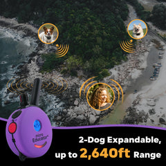 Educator ME-300 with 100 stimulation levels for temperament-tailored training.