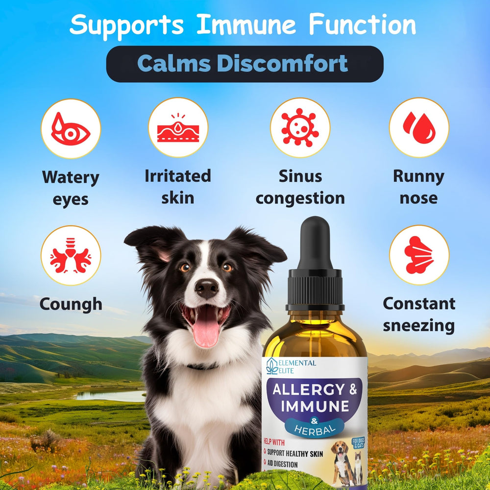 EDUZEBRA allergy relief drops dog serving demonstrates meal-friendly supplementation.