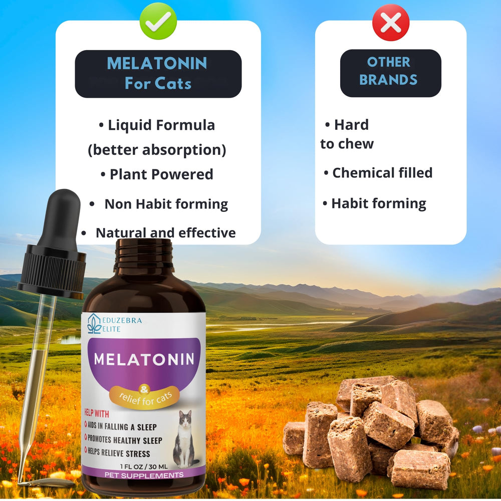 EDUZEBRA calming-treat image promotes nighttime comfort for cats.
