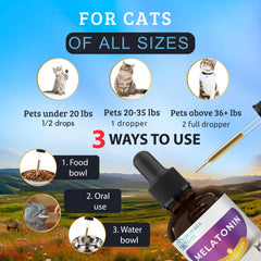 EDUZEBRA cat mixing melatonin into food demonstrates easy daily administration.