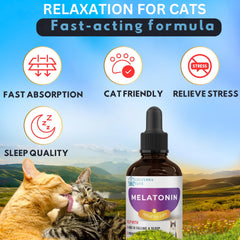 EDUZEBRA cat sleep aid at night promotes smoother transition to rest.