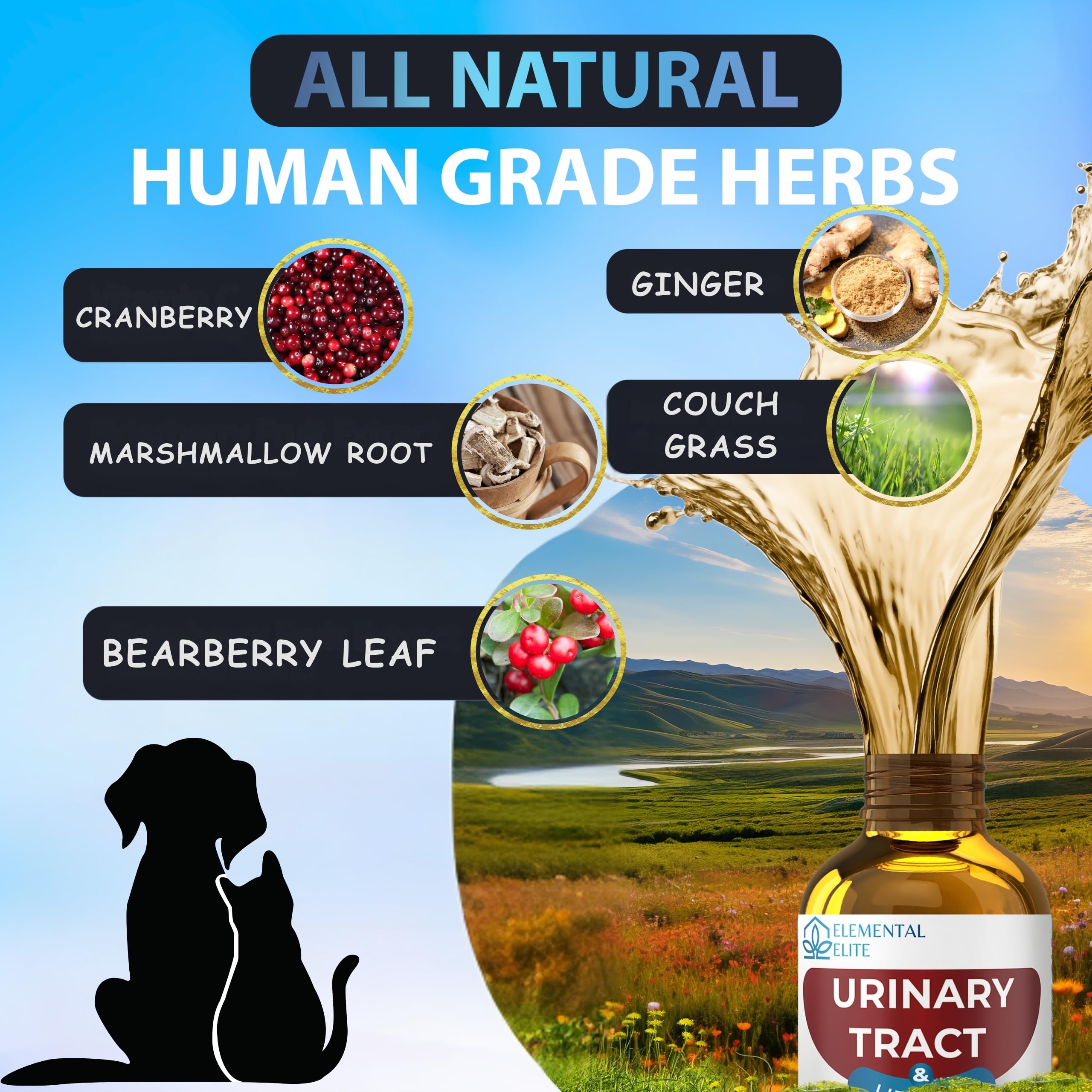 EDUZEBRA cranberry extract focus suggests urinary environment support.