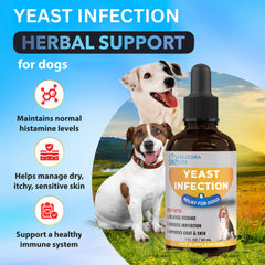 EDUZEBRA dog-ear-infection-bottle enables targeted ear care and soothing relief.