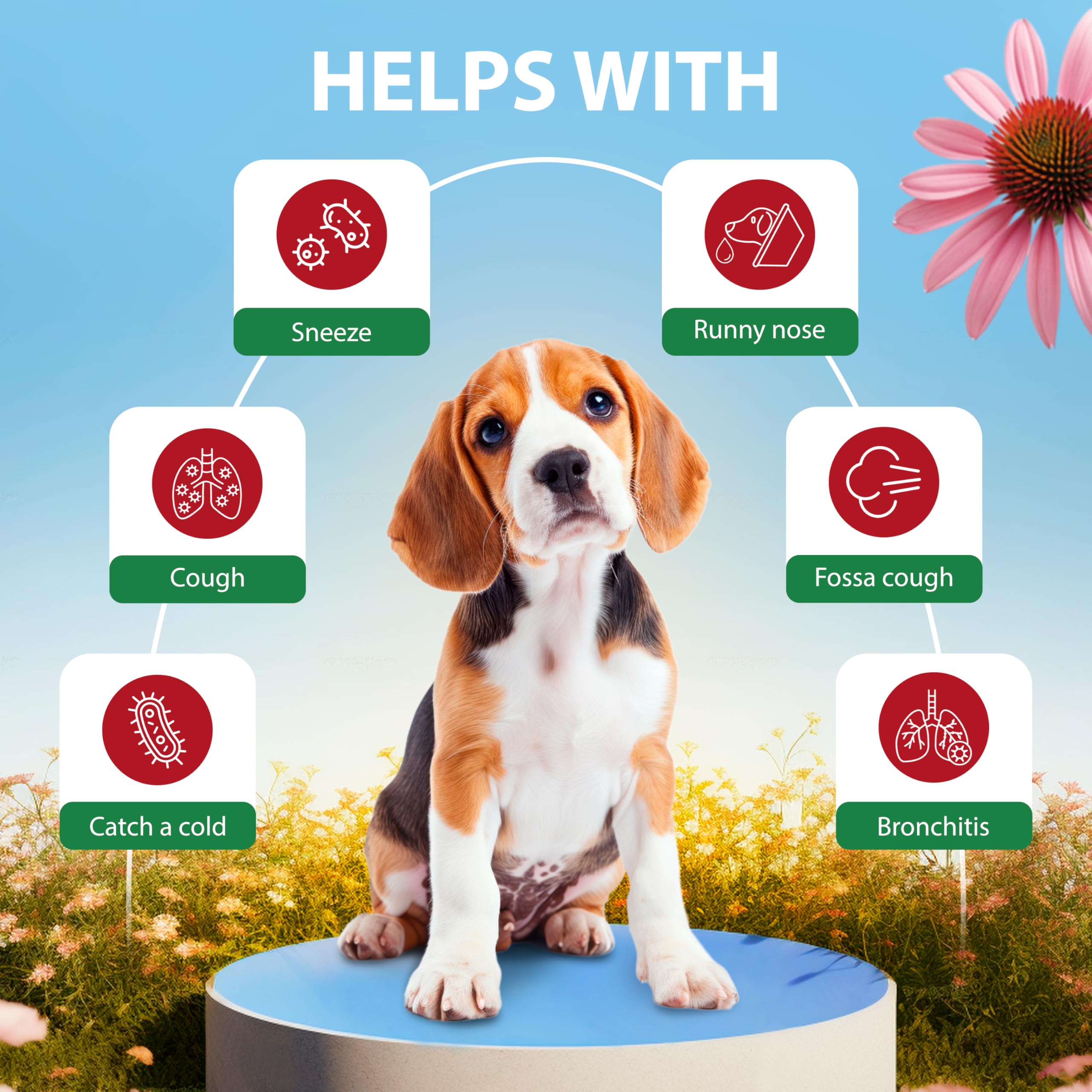 EDUZEBRA Kennel Cough Drops drops close-up easy-to-administer formula