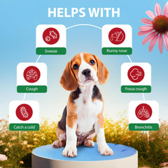 EDUZEBRA Kennel Cough Drops drops close-up easy-to-administer formula