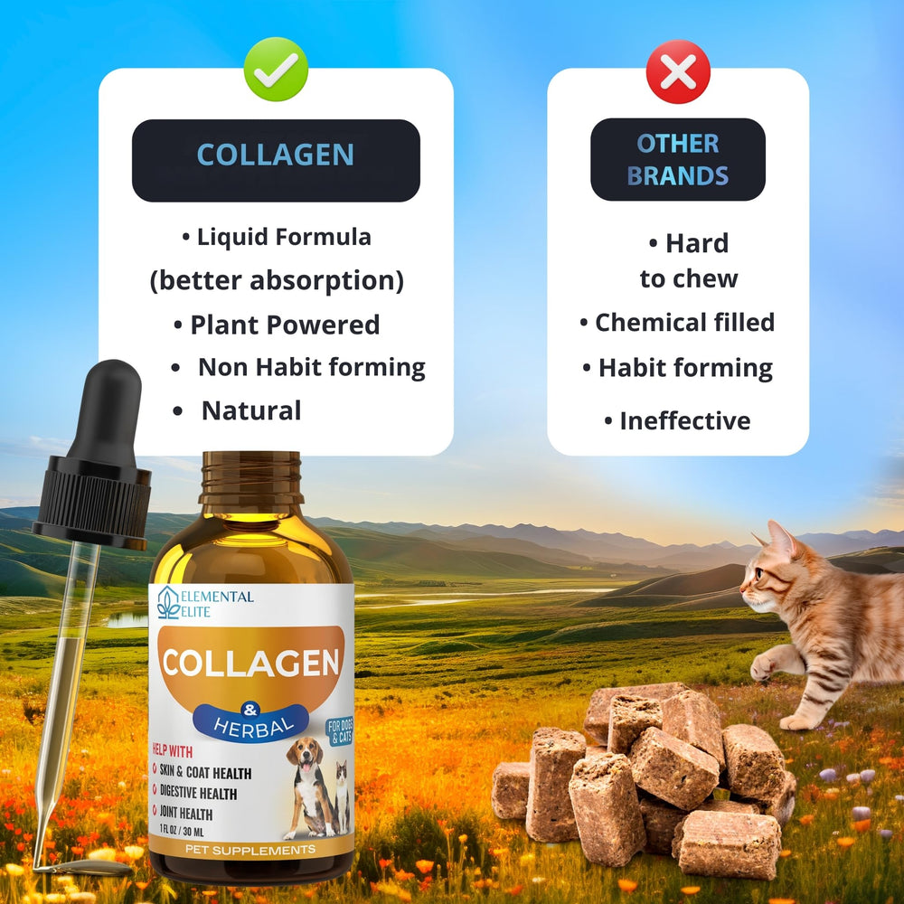 EDUZEBRA biotin supports coat shine and skin health.