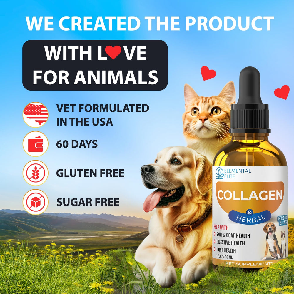 EDUZEBRA daily-use liquid collagen supports routine pet care.