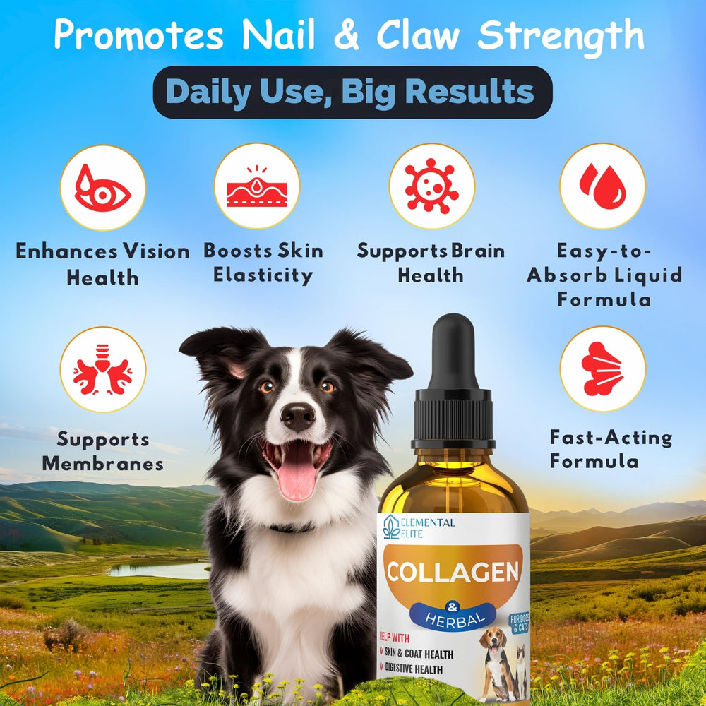 EDUZEBRA liquid collagen for dogs and cats supports joint mobility and comfort.