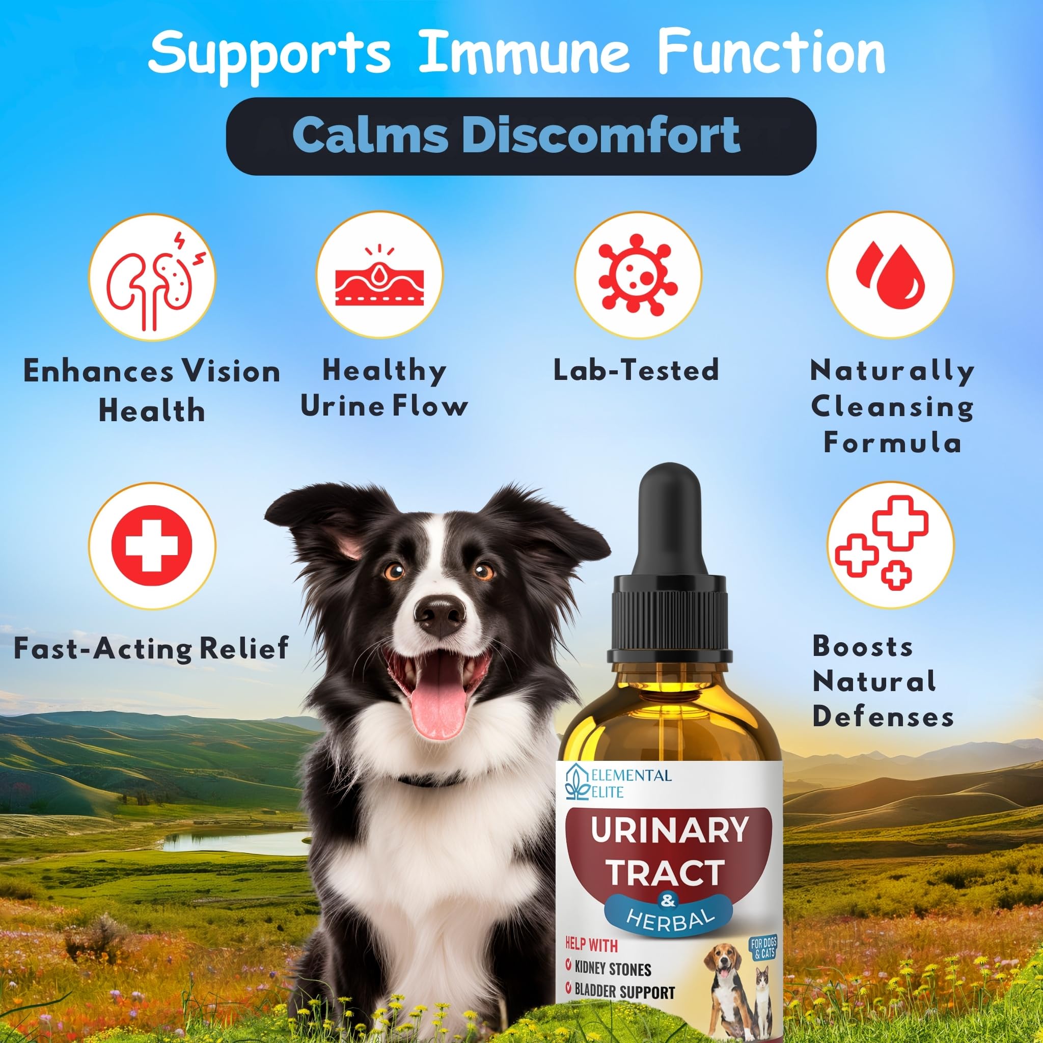 EDUZEBRA drops served with pets, promoting daily bladder and kidney support.