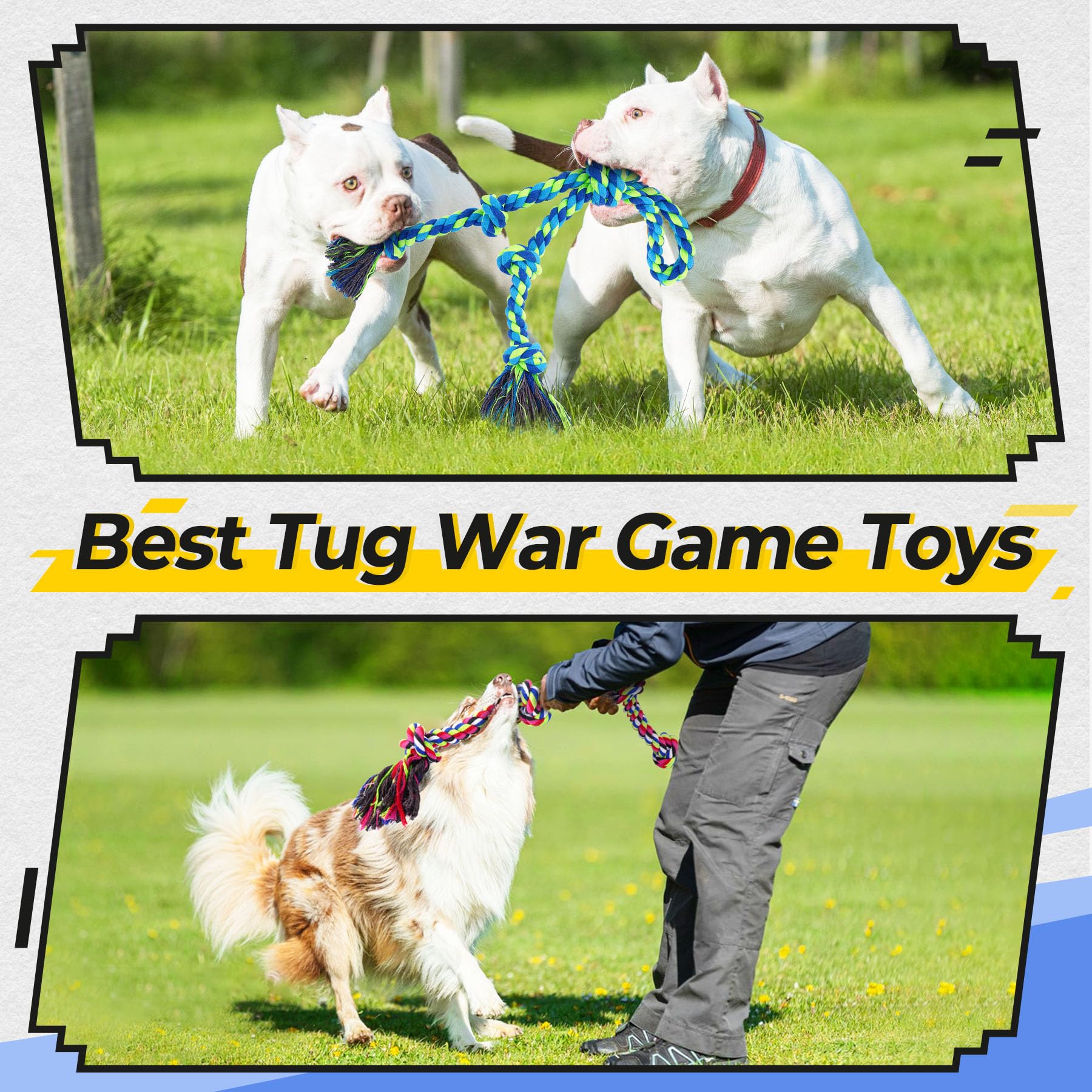 Eefitoys dog bags and dispenser supplies for convenient cleanup