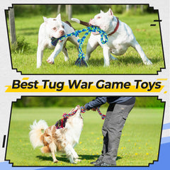 Eefitoys dog bags and dispenser supplies for convenient cleanup