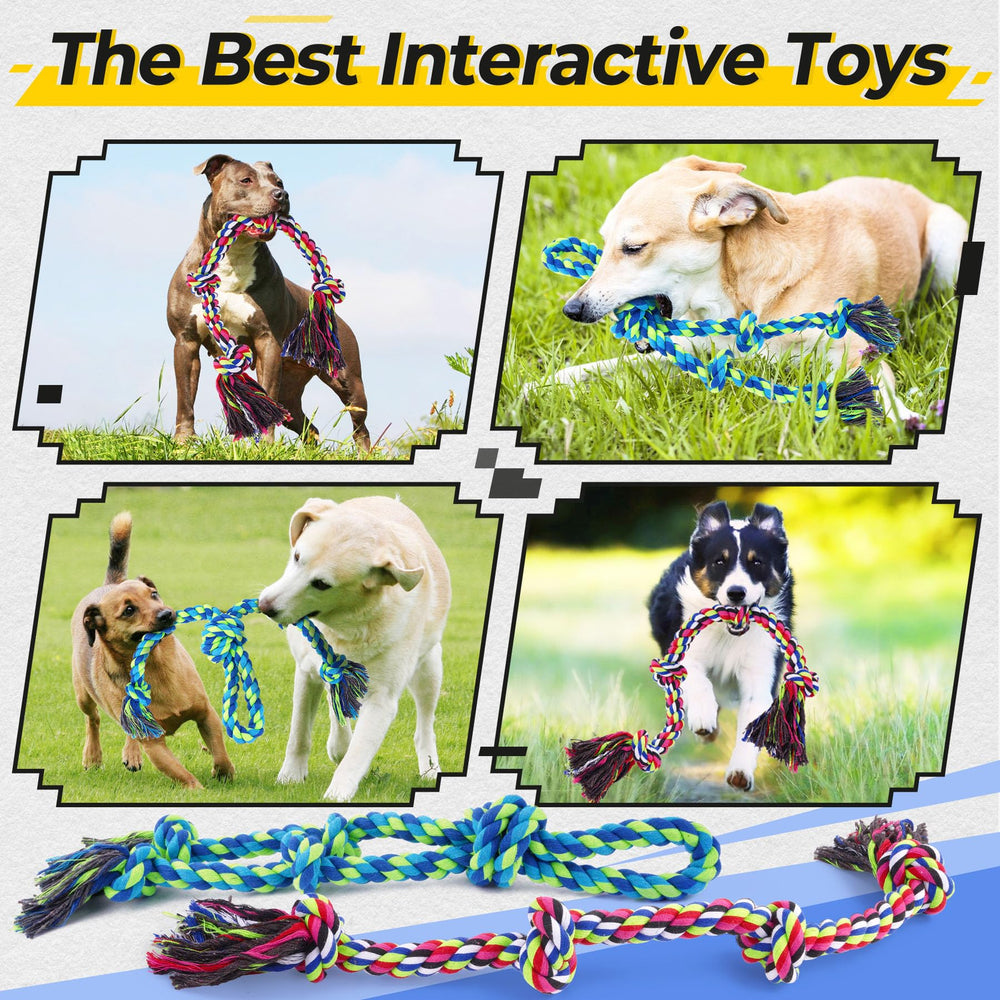 Eefitoys interactive play rope toy encourages owner-dog bonding