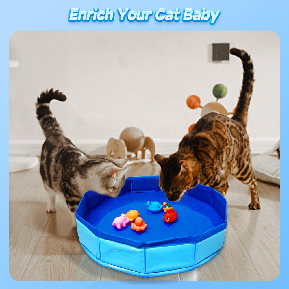 Eelexa portable cat pool with floating fish toys demonstrates self-play enrichment for bored cats.