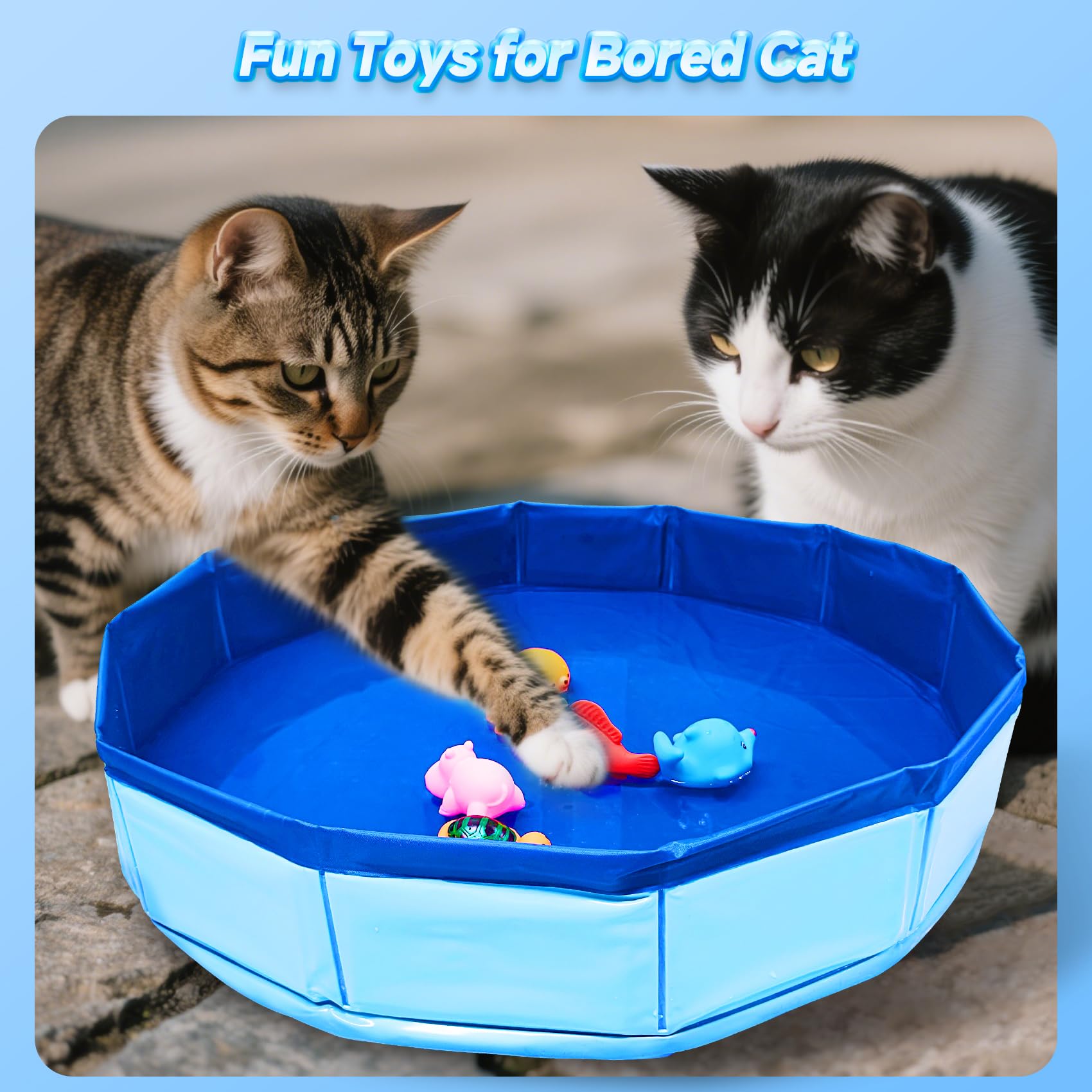 Eelexa portable cat pool measures 20x4 inches for multi-cat play.