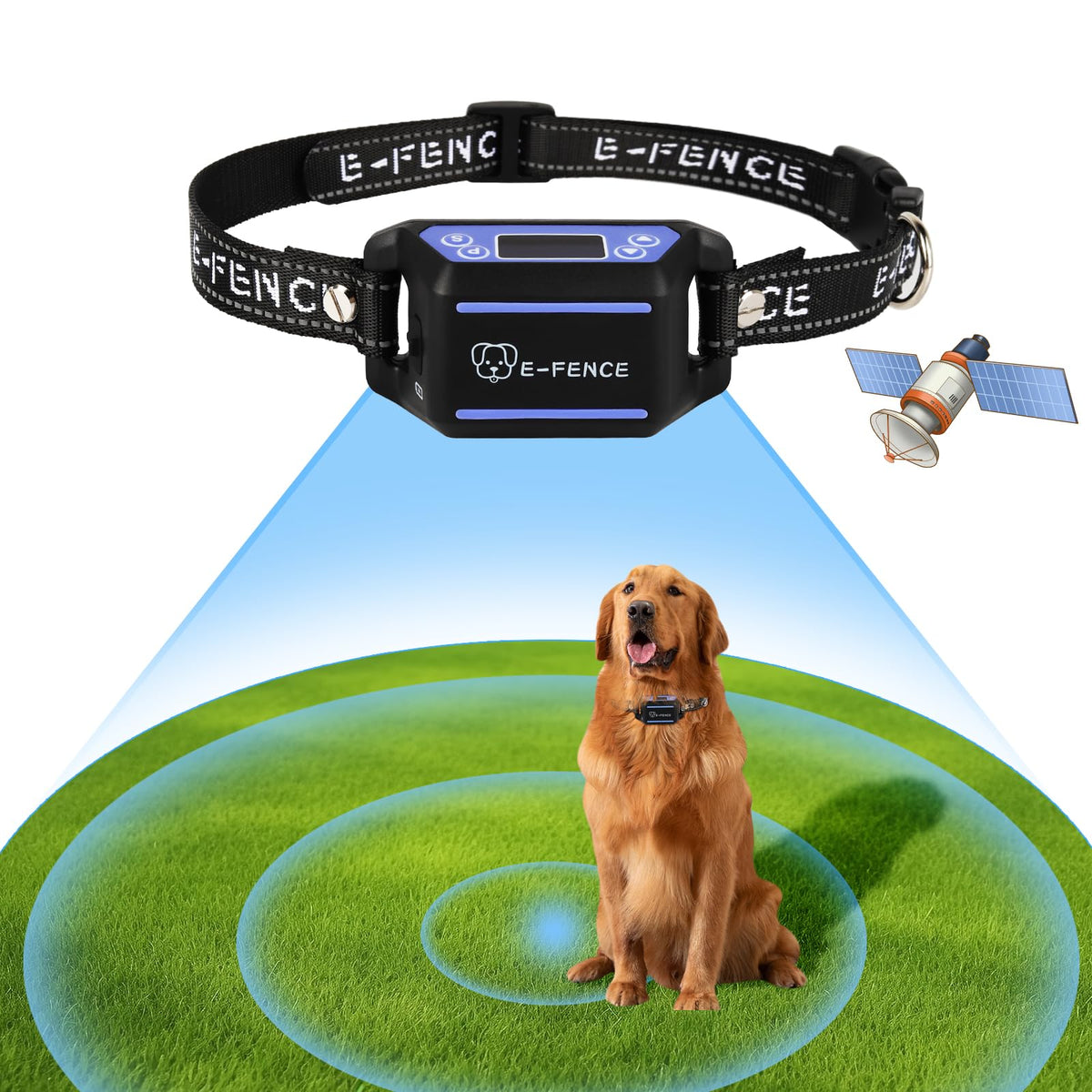 E-FENCE GPS wireless dog fence unit keeping a dog safely contained outdoors.