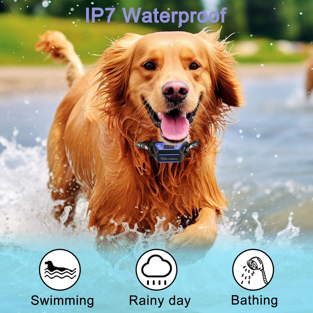E-FENCE health-monitoring collar showing heart rate and temperature during play.