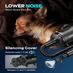 EGFKI Dog Dryer nozzle set highlighting four versatile attachments for grooming