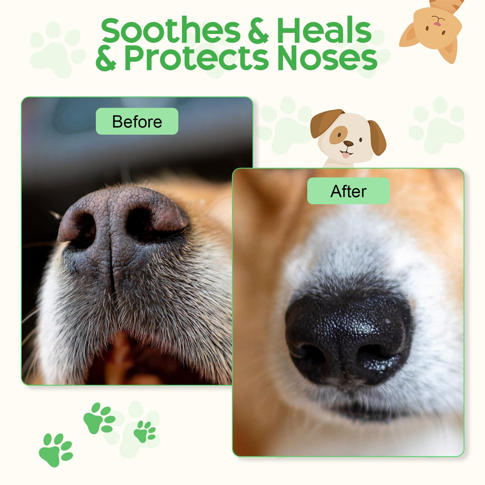 Eglagen dog and cat using lick-safe balm for daily paw and nose care.