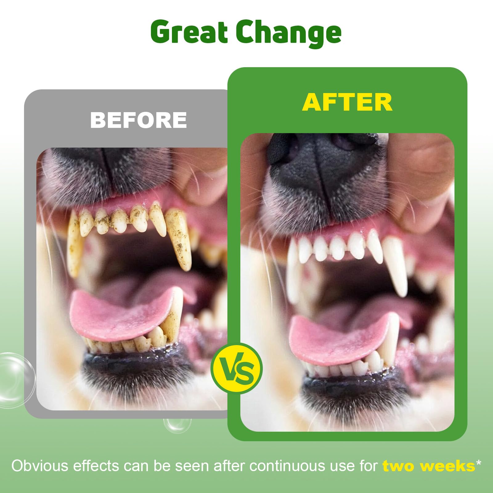 Eglagen dog dental powder water mix demonstrates versatile use for pets