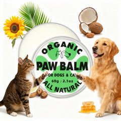 Eglagen dog paw balm application shows quick absorption for dry paw pads.