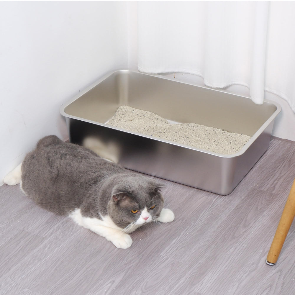 EGMEHOAD stainless steel litter box top-down view reveals interior footprint