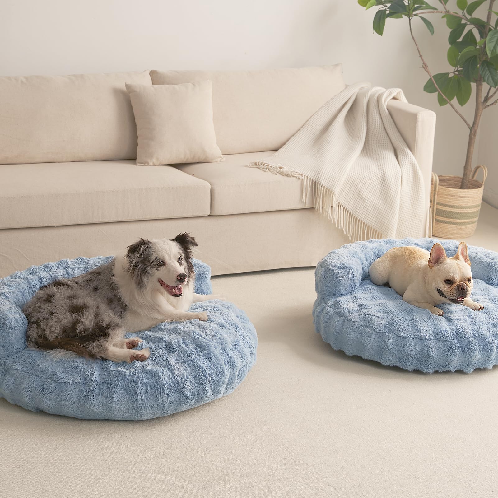EHEYCIGA baby blue pet bed adds soft style to any room