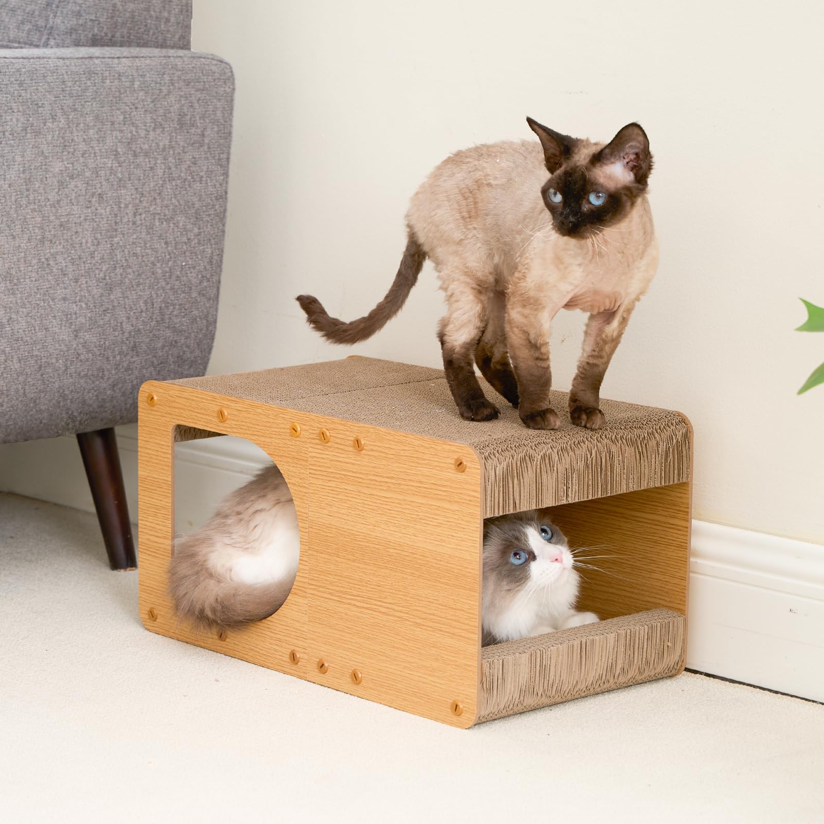 EHEYCYCARDBOARD cat scratcher home-ready packaging for easy setup