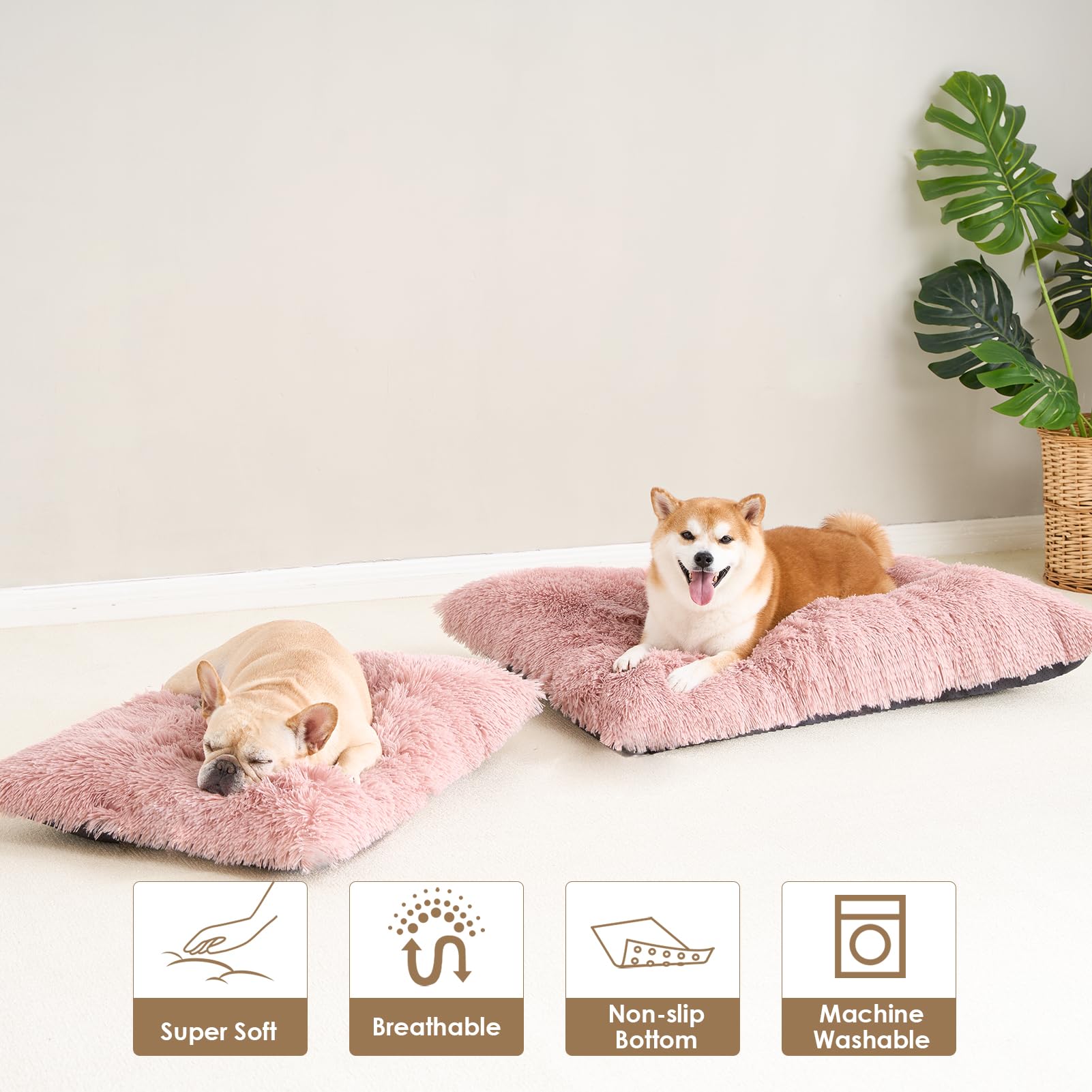 EHEYCIGA care guide image showing washing and fluffing steps