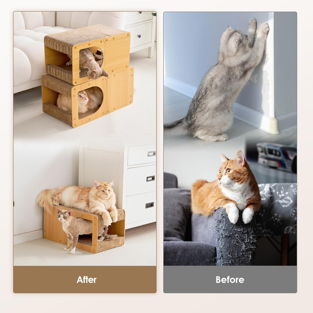 EHEYCIGA cat lounging inside house – pets relax, stretch, and observe their surroundings.