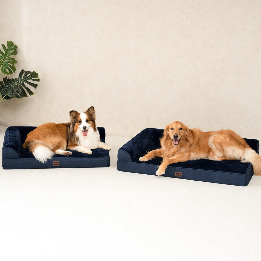 EHEYCIGA fits medium-sized dogs for crate or couch use.