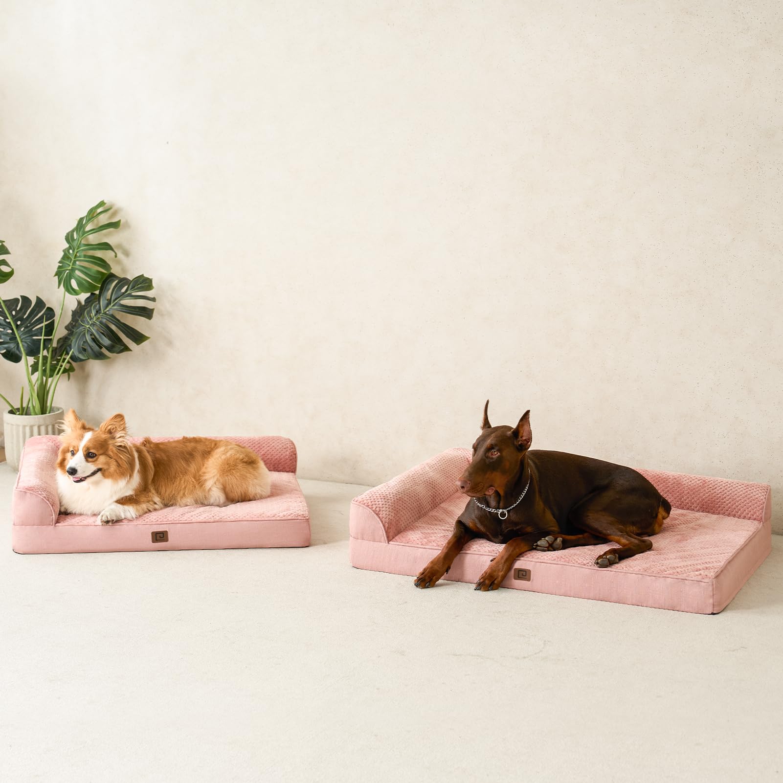 EHEYCIGA-elder-dog-cushioning-use-case visual of gentle support for older pets