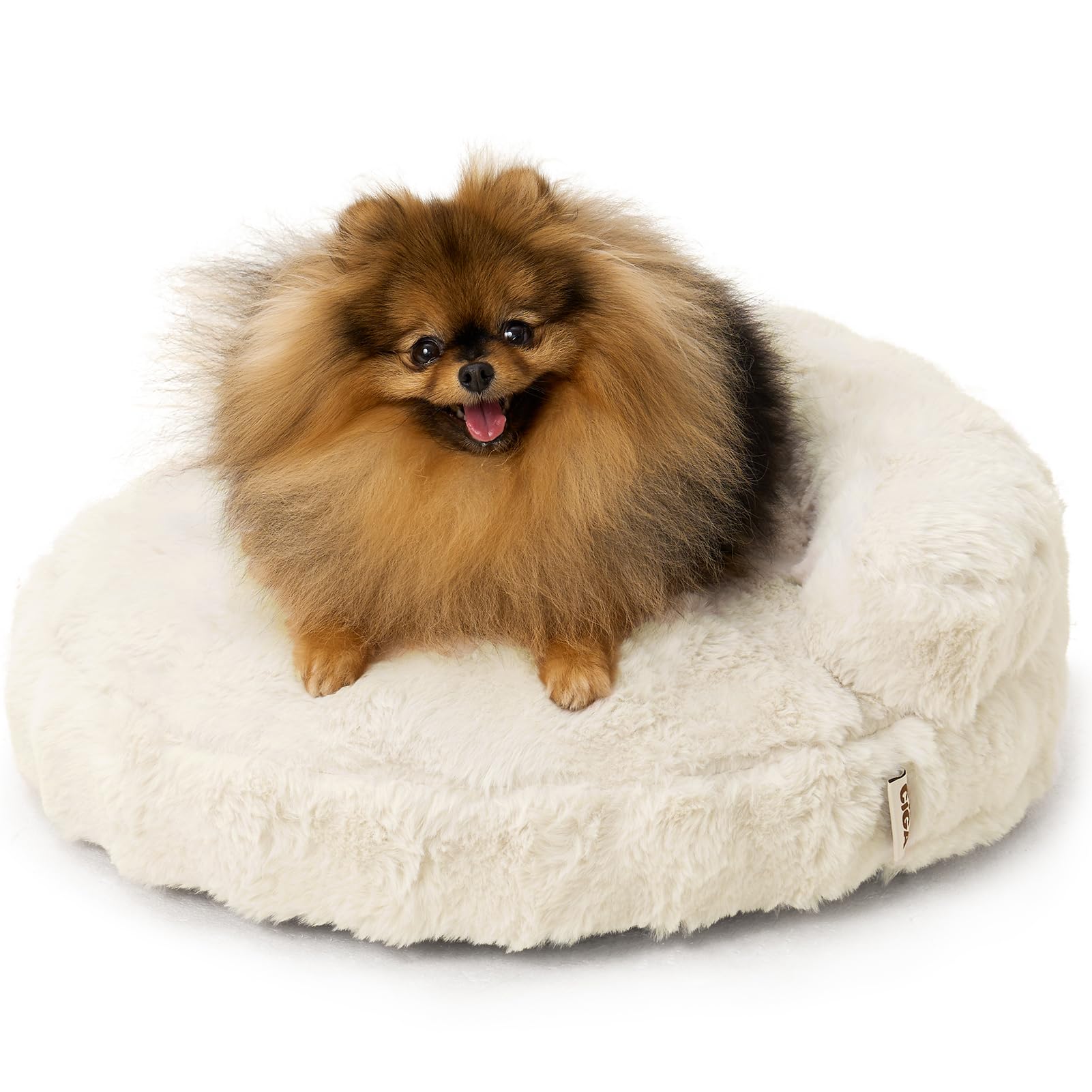 EHEYCIGA extra-small dog bed with foam-softness supports comfy naps