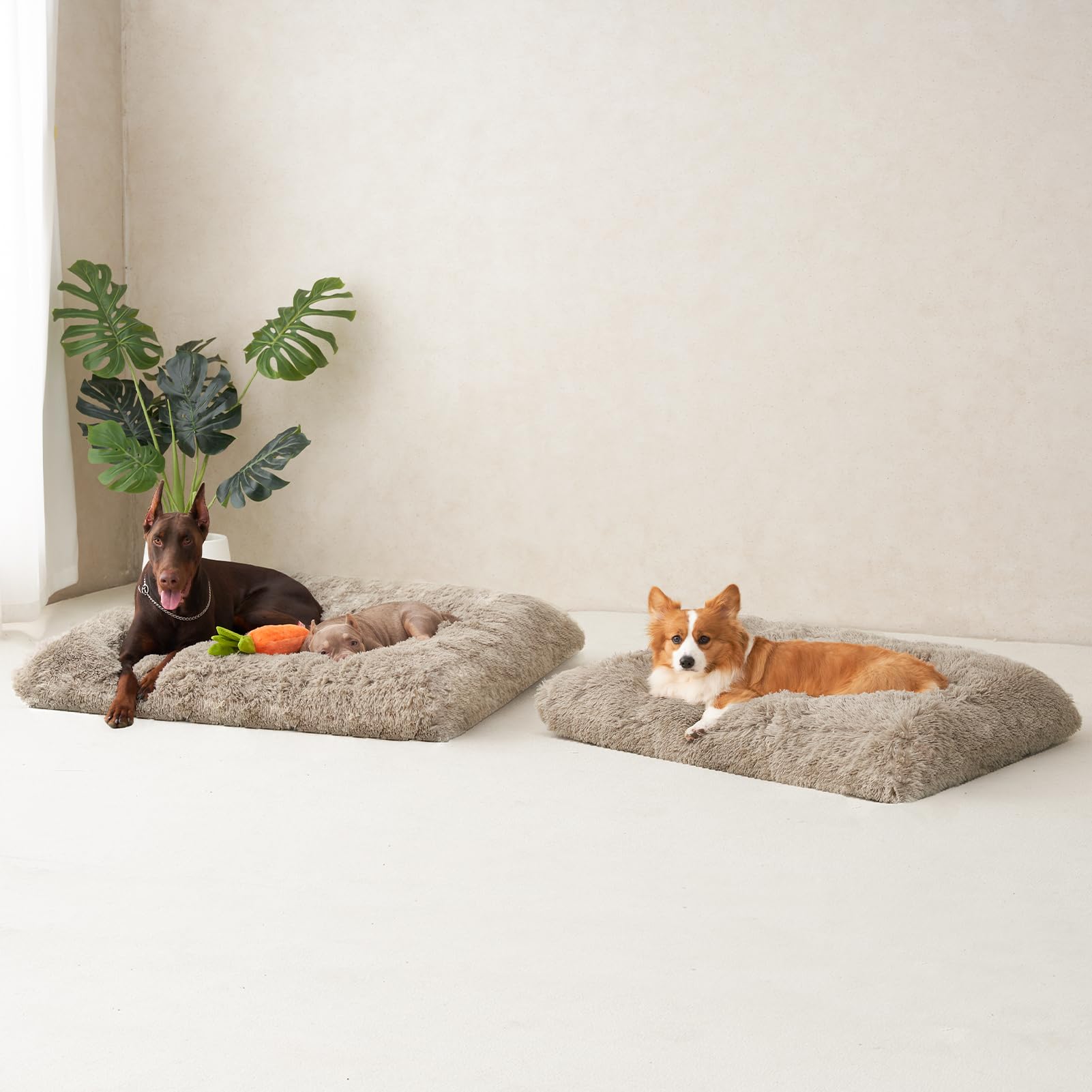 EHEYCIGA fluffy XXL dog bed care instructions for machine wash.