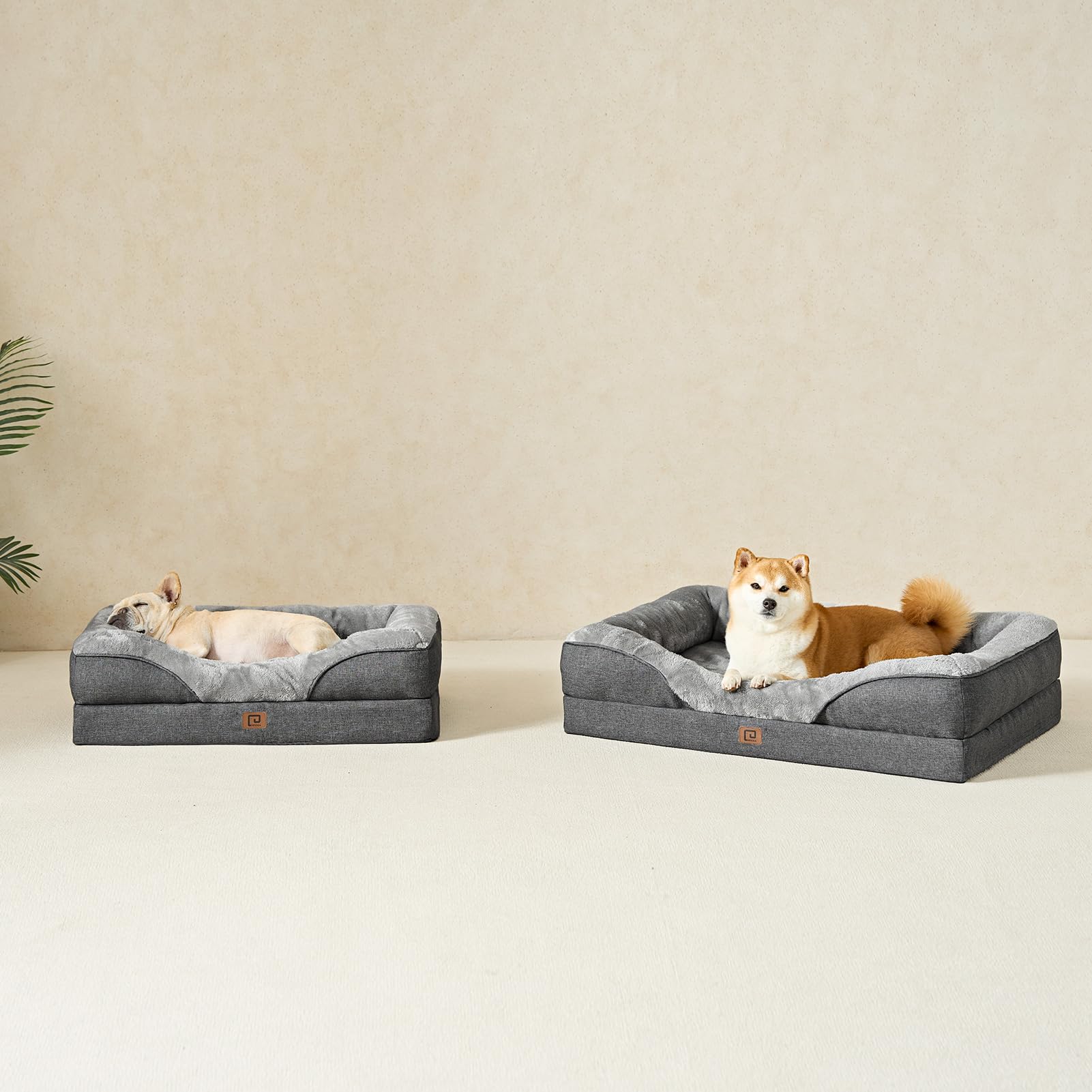 EHEYCIGA living-room dog bed scene depicts calm, integrated home use