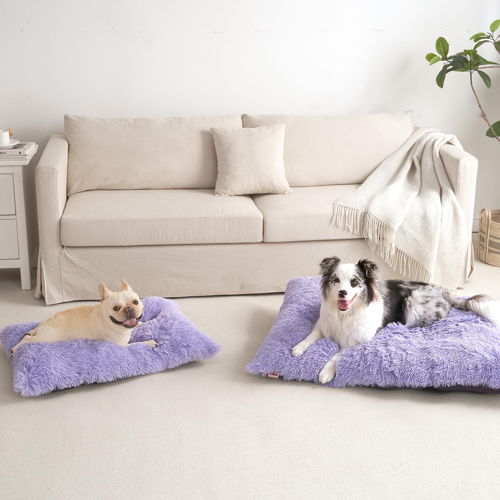 EHEYCIGA Machine-washable bed makes quick cleanup after playful sessions.