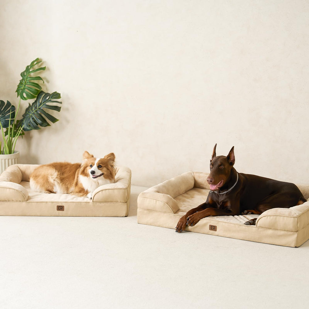 EHEYCIGA medium dog bed setup in living room for relaxed lounging.