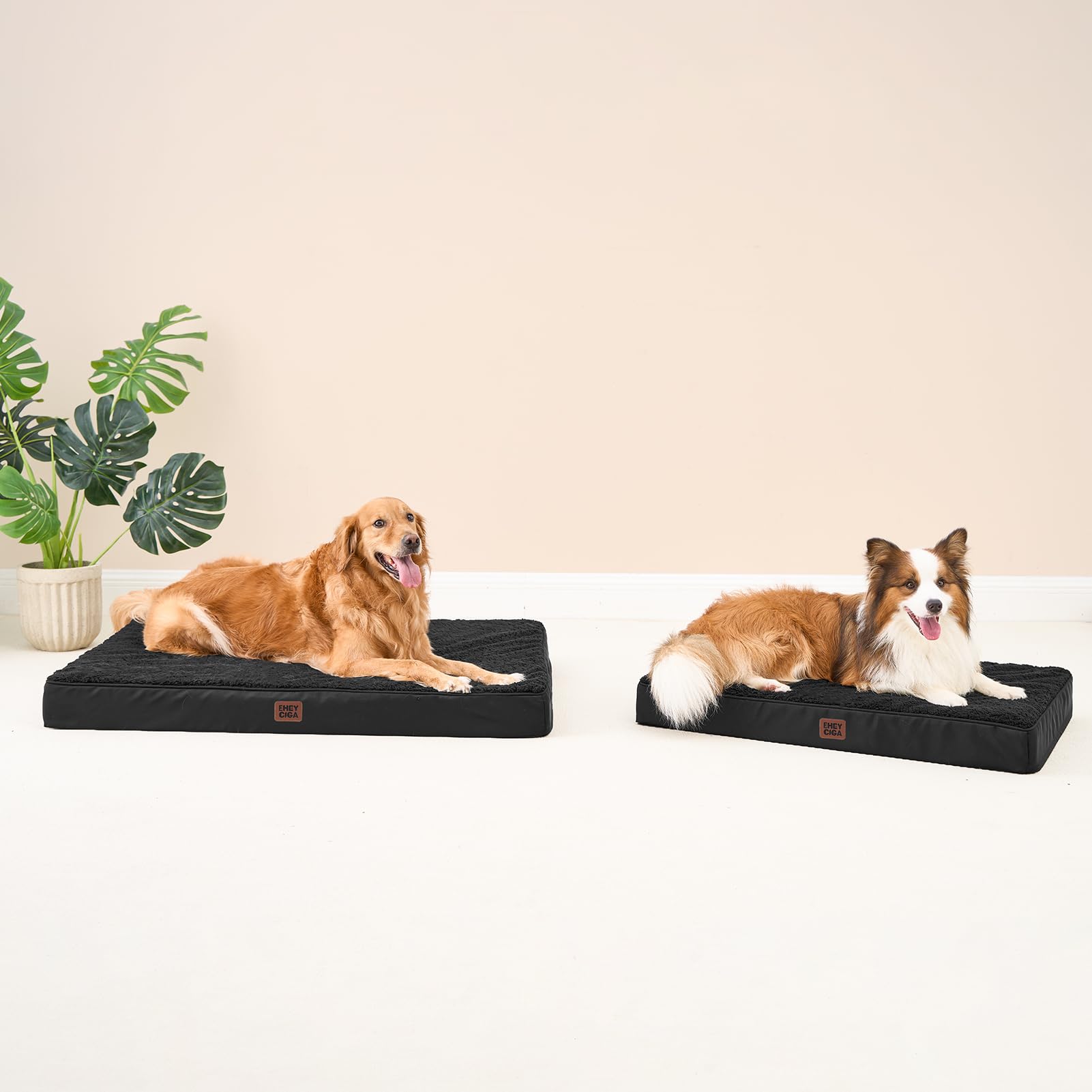 EHEYCIGA removable cover enables simple cleaning after adventures.